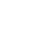 Icon Linkedin